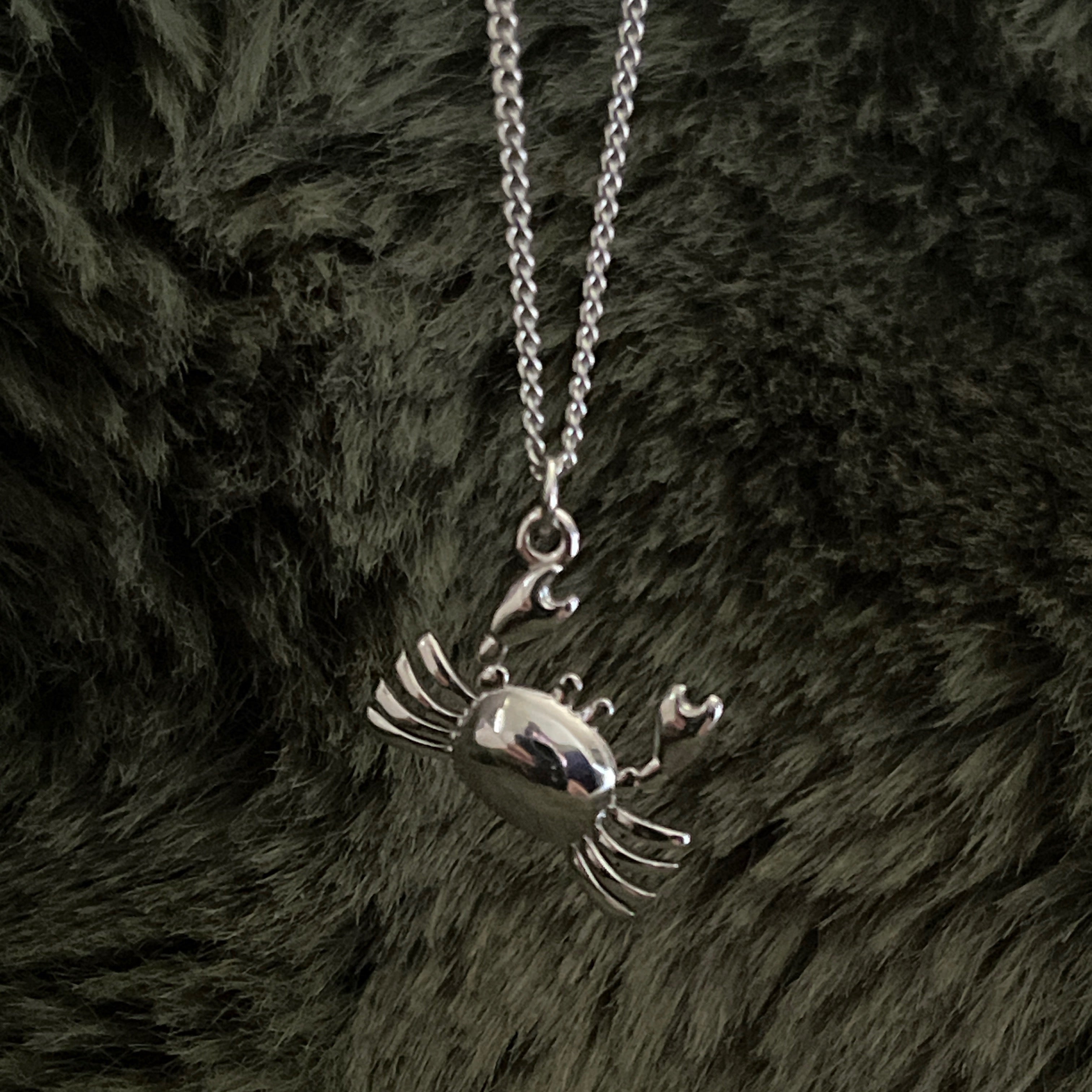 Bohemian Crab Charm Necklace | Silver