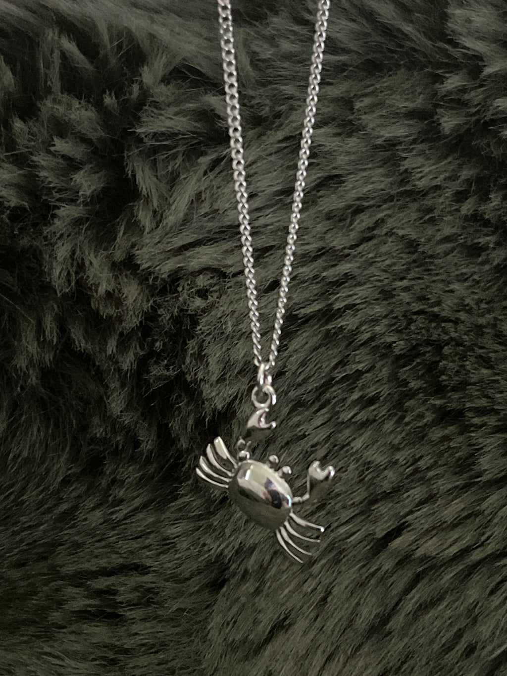 Bohemian Crab Charm Necklace | Silver