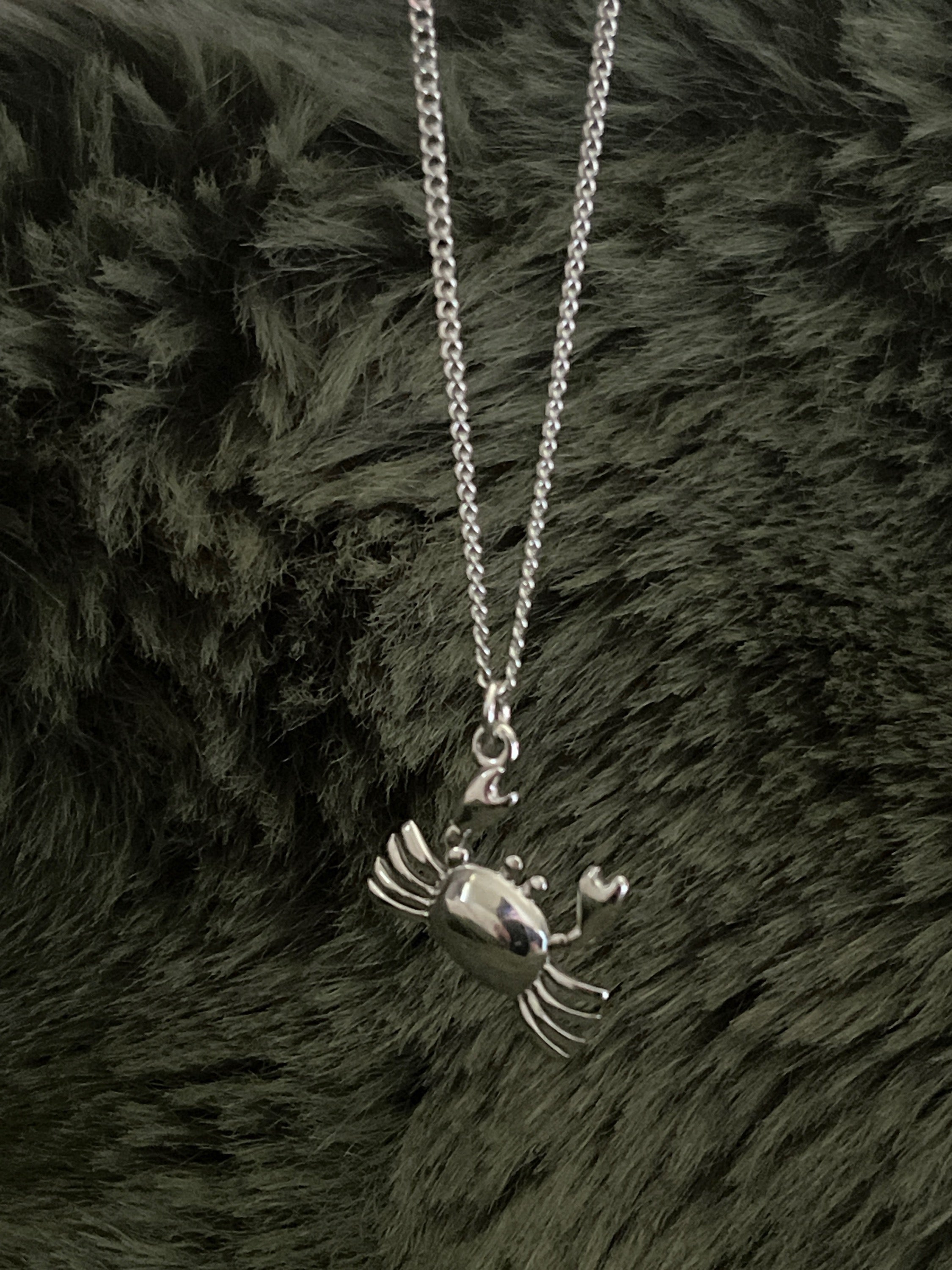 Bohemian Crab Charm Necklace | Silver