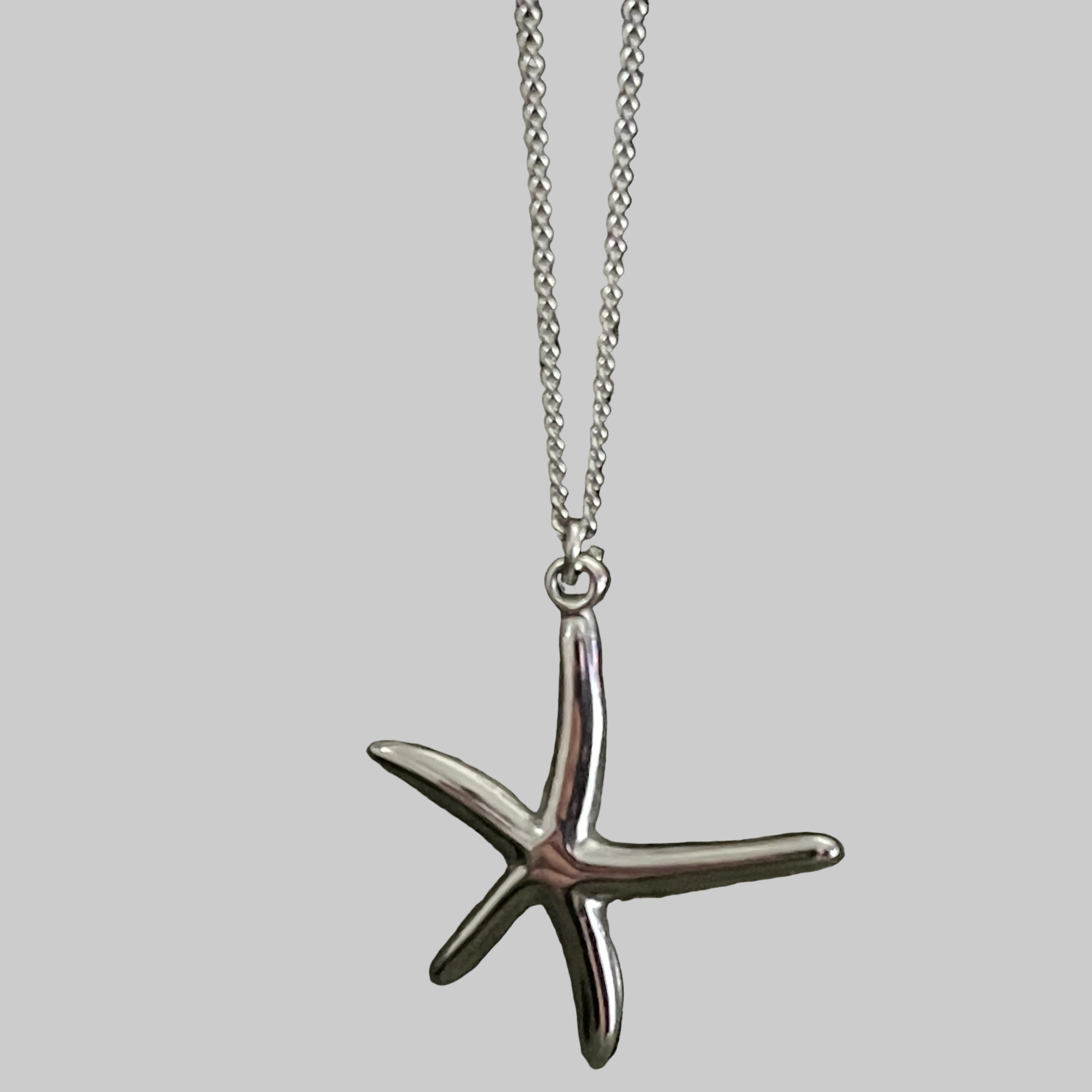 Bohemian Starfish Charm Necklace | Silver