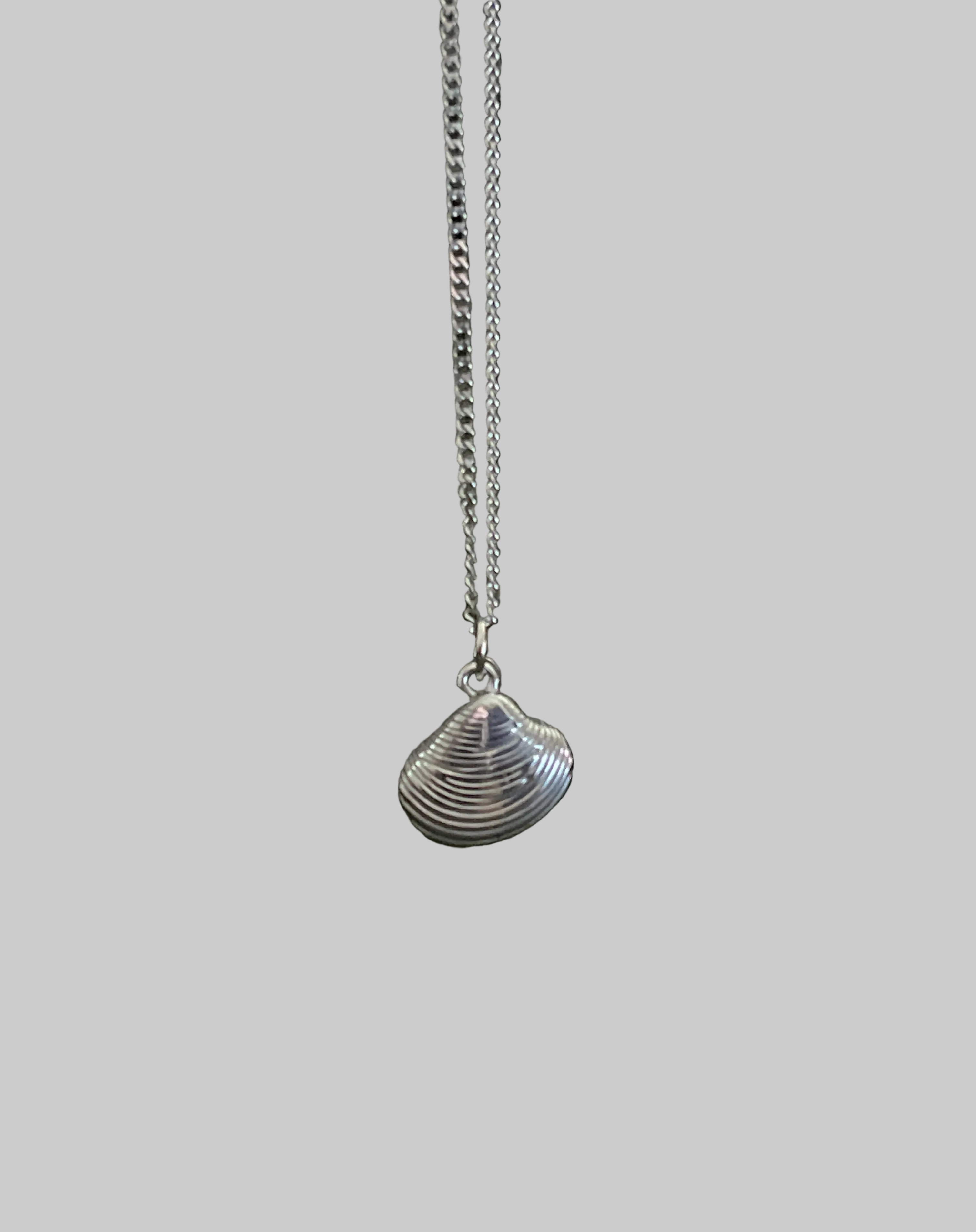 Bohemian Sea Shell Charm Necklace | Silver