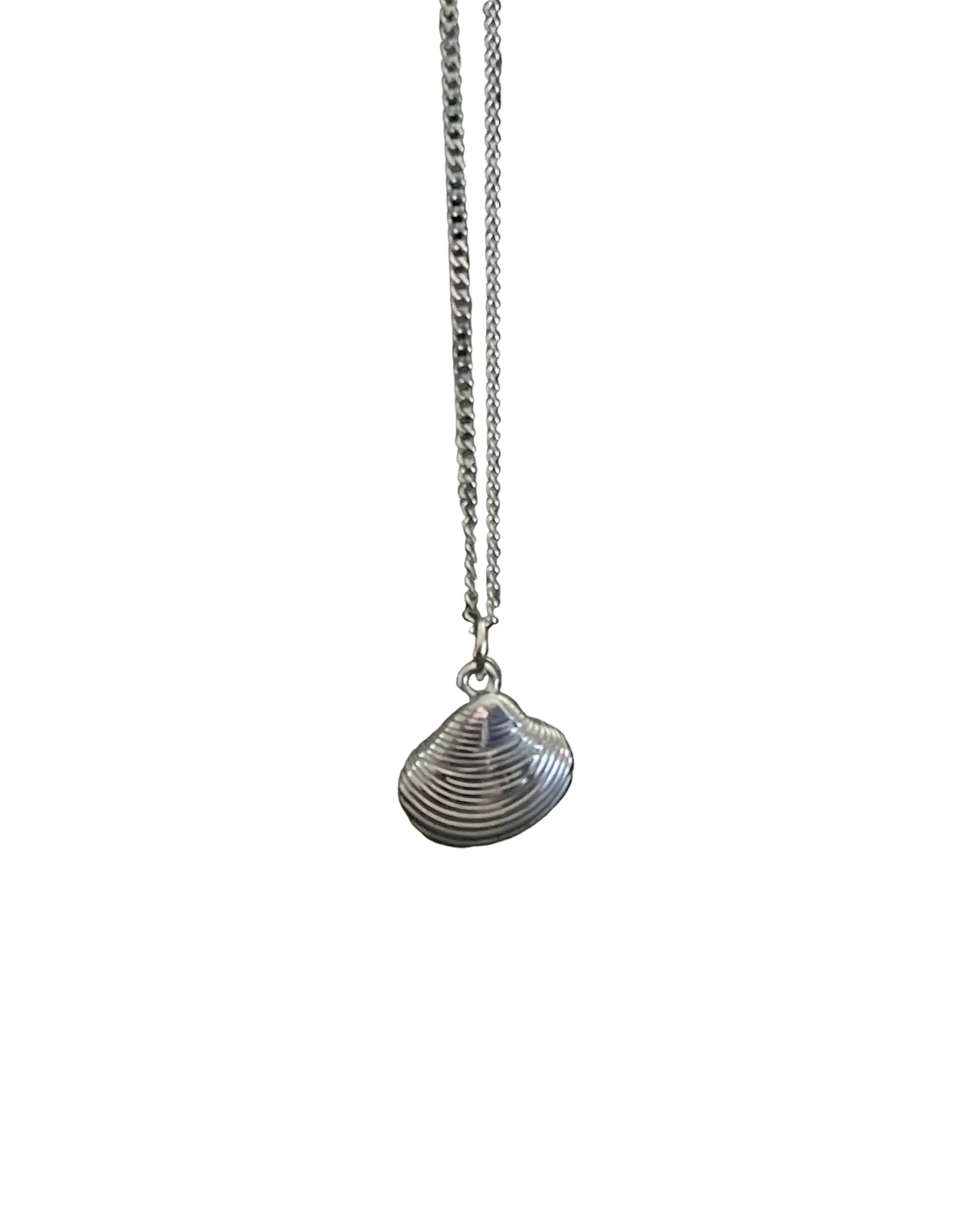 Bohemian Sea Shell Charm Necklace | Silver