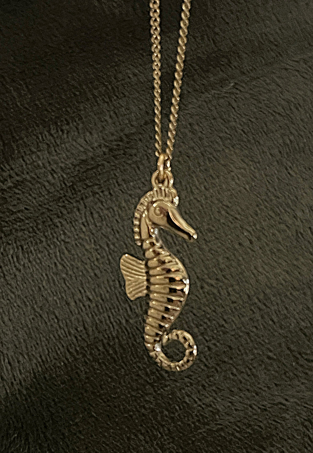 Bohemian Seahorse Charm Hoops | Gold
