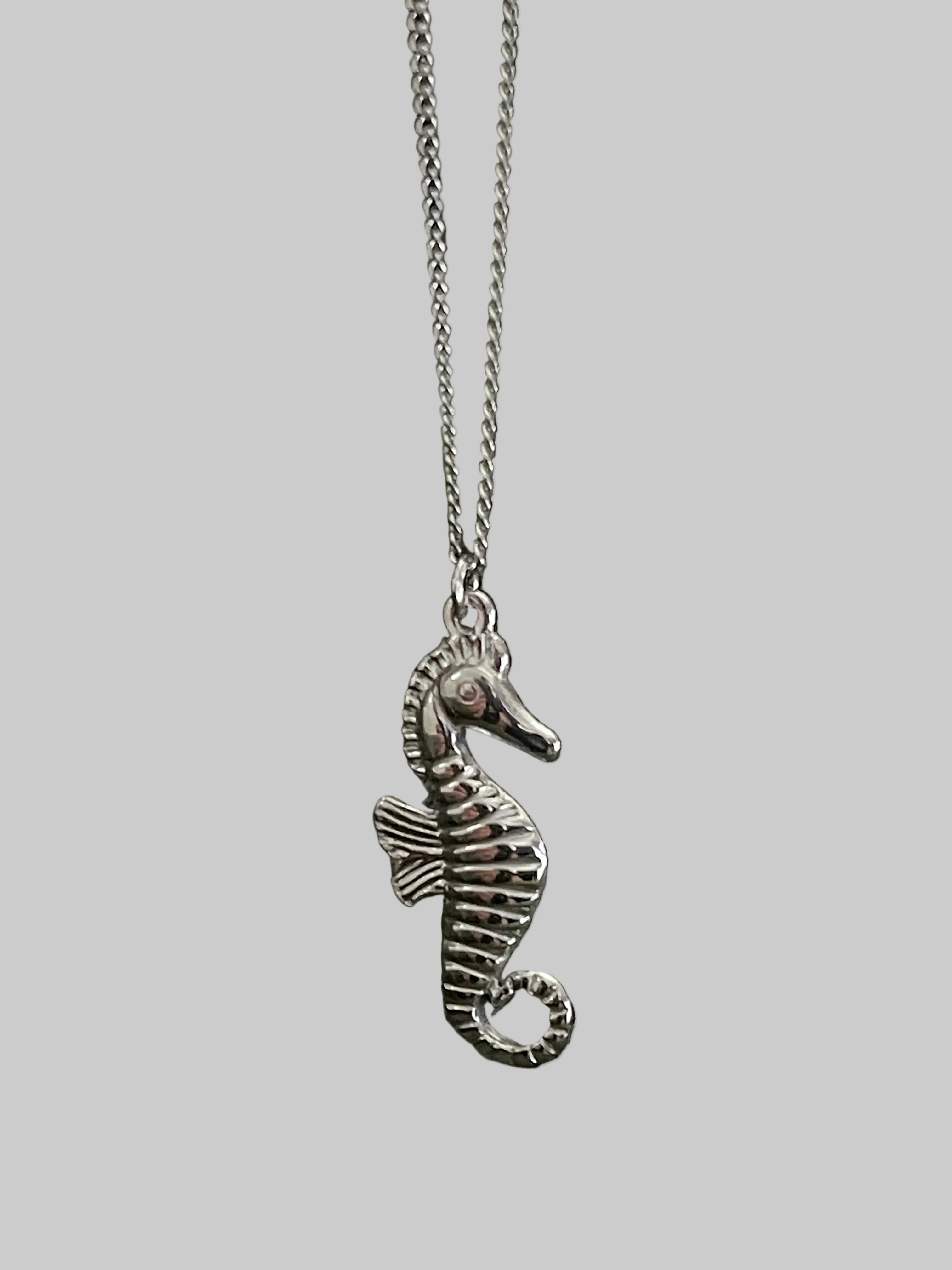 Bohemian Seahorse Charm Necklace | Silver