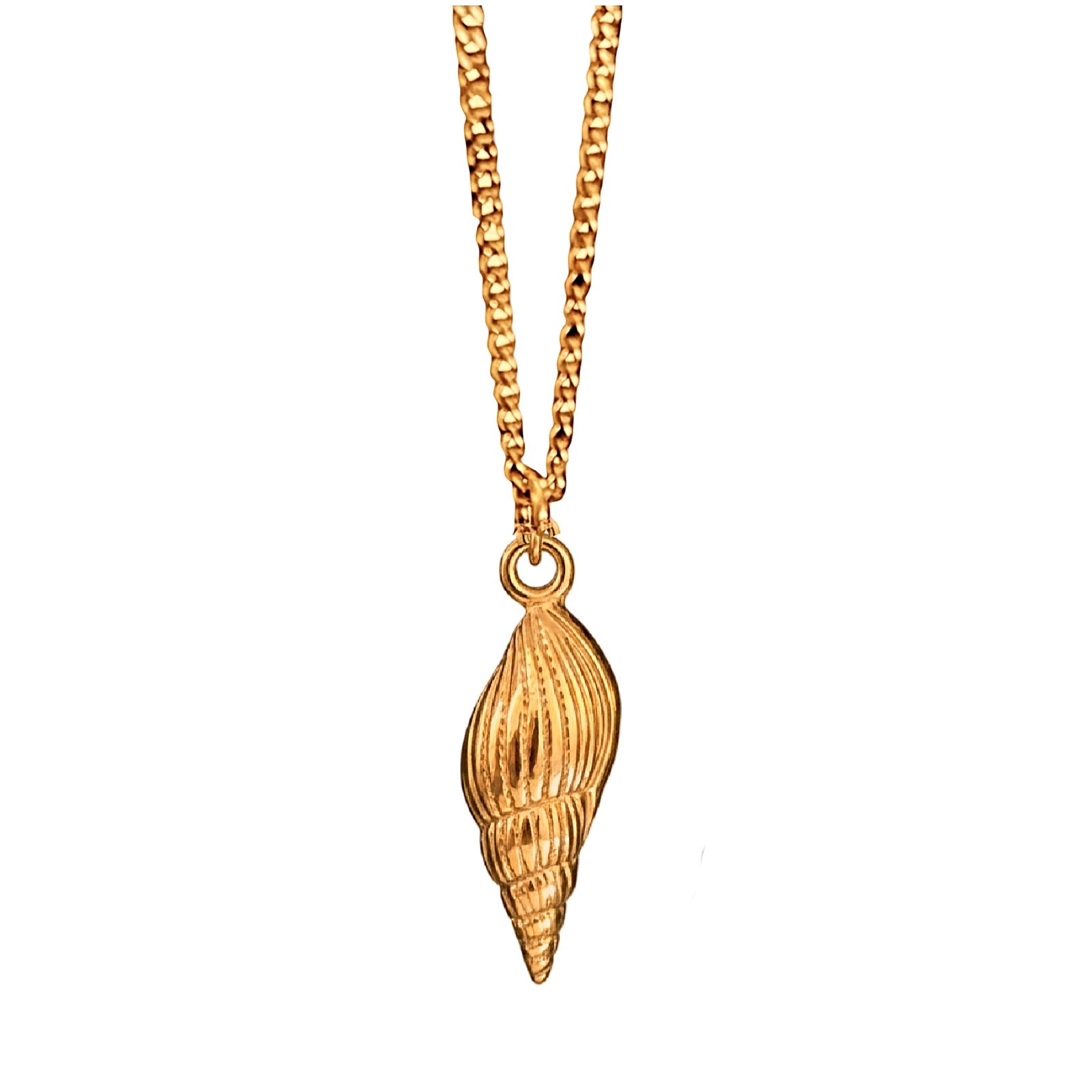 Bohemian Sea Charm Necklace | Silver