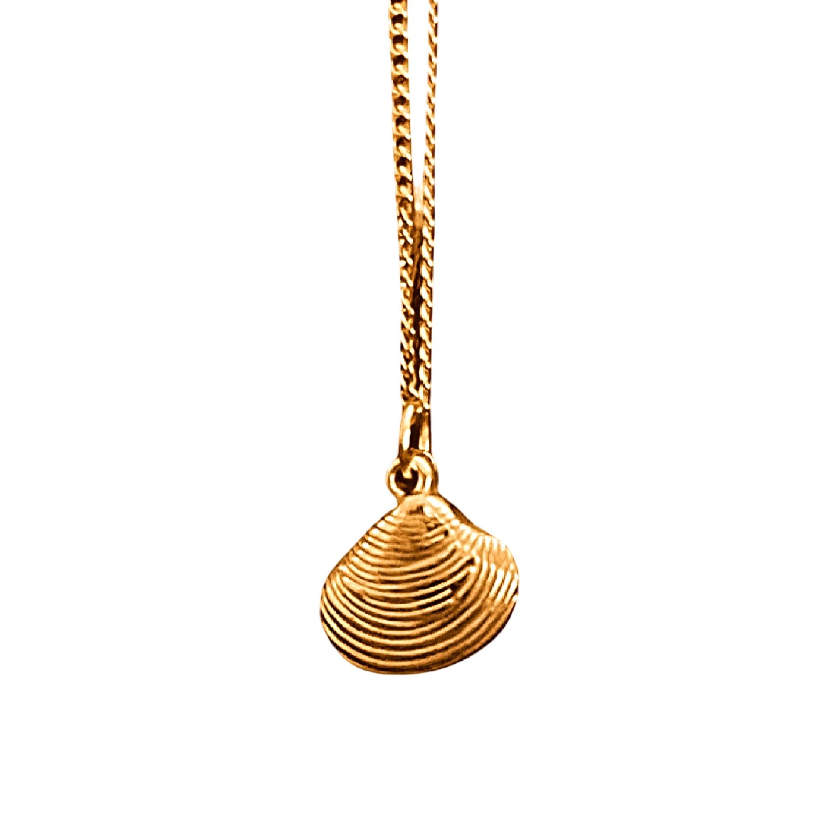 Bohemian Sea Shell Charm Hoops | Gold