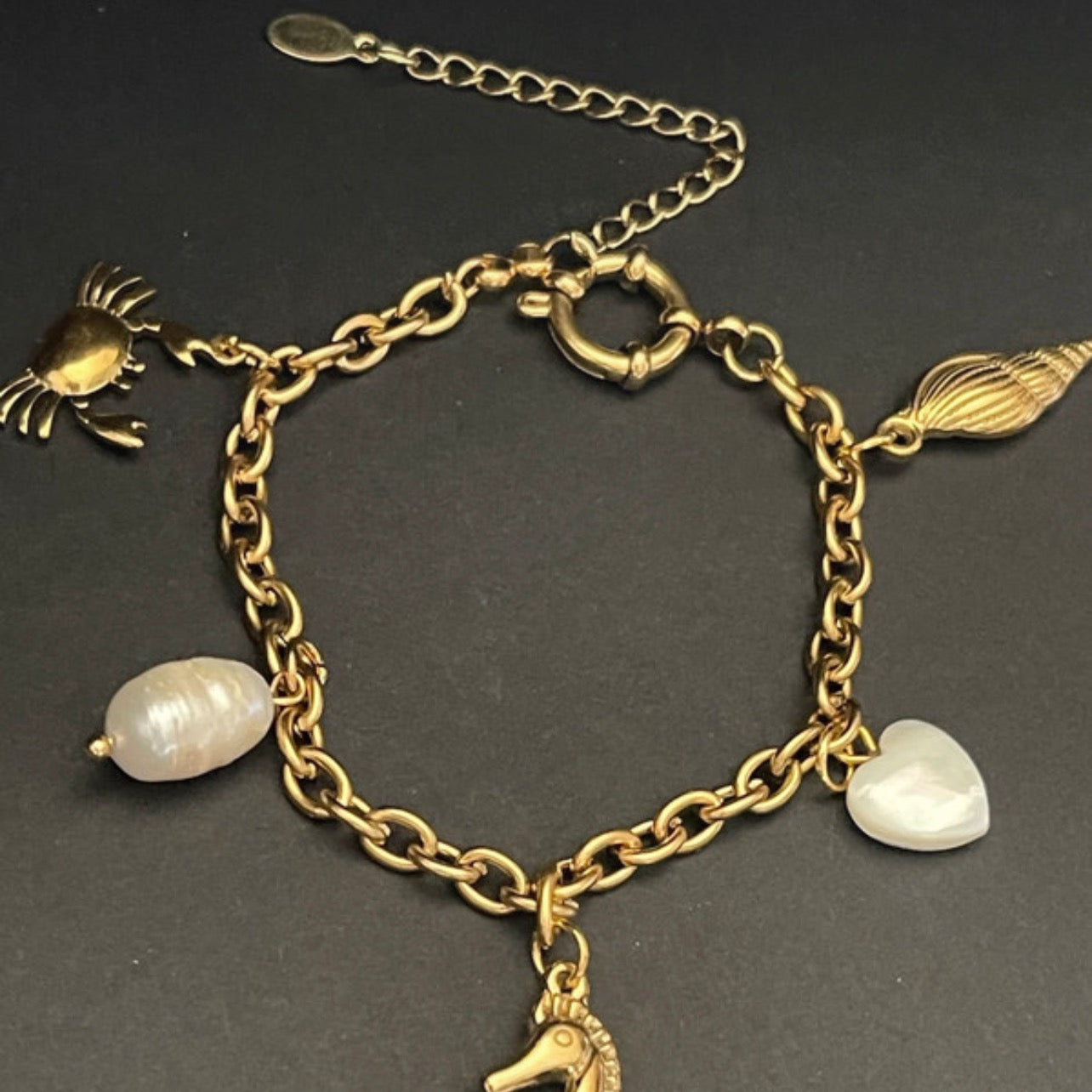 The Ocean Dreamer Charm Bracelet | Gold