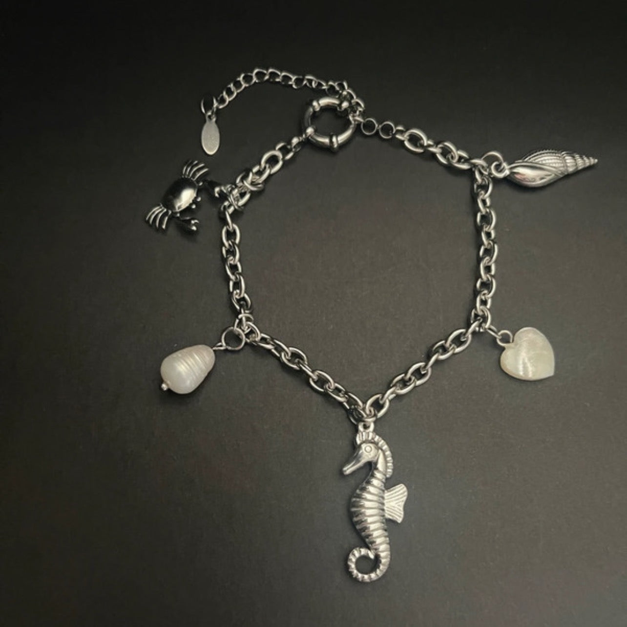 The Ocean Dreamer Charm Bracelet | Silver