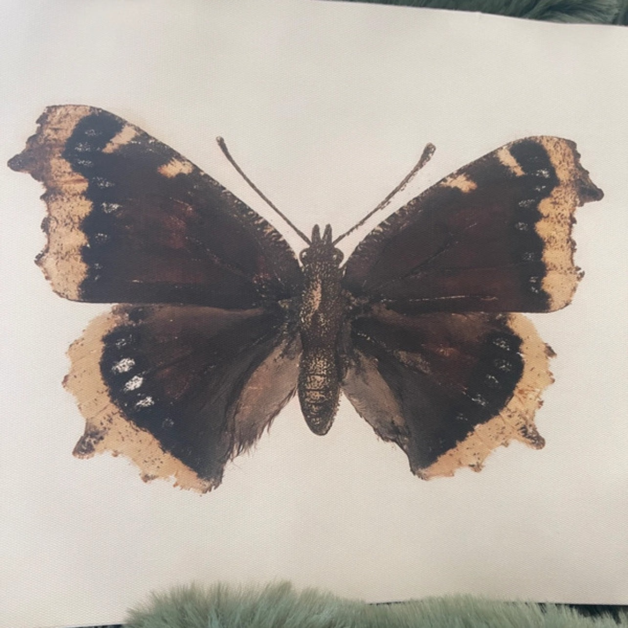 Moth fabric canvas print.