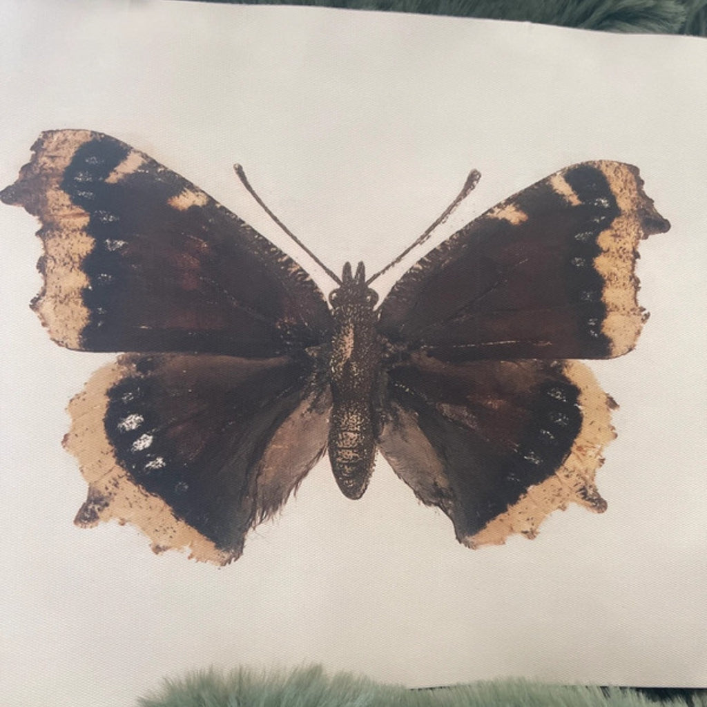 Moth fabric canvas print.