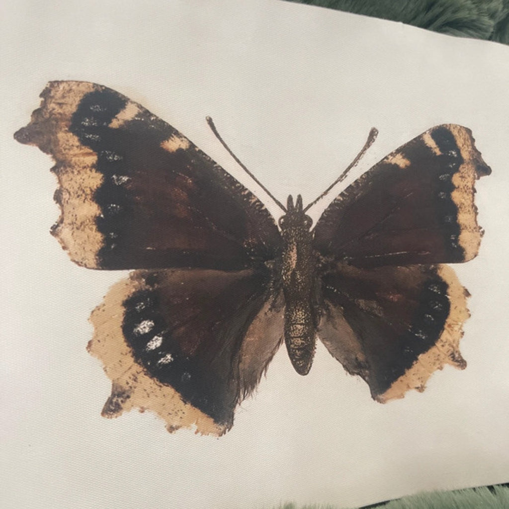 Moth fabric canvas print.