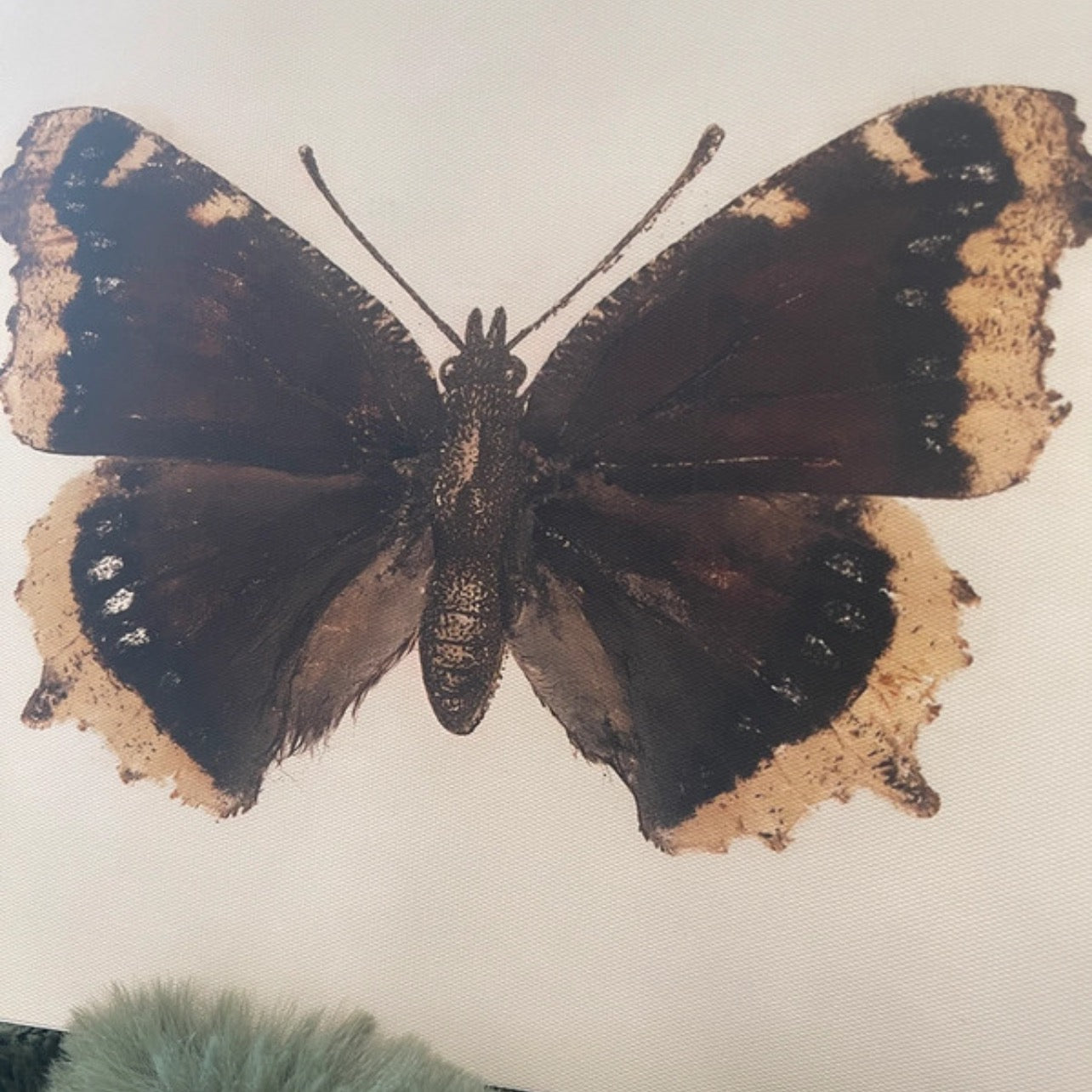 Moth fabric canvas print.